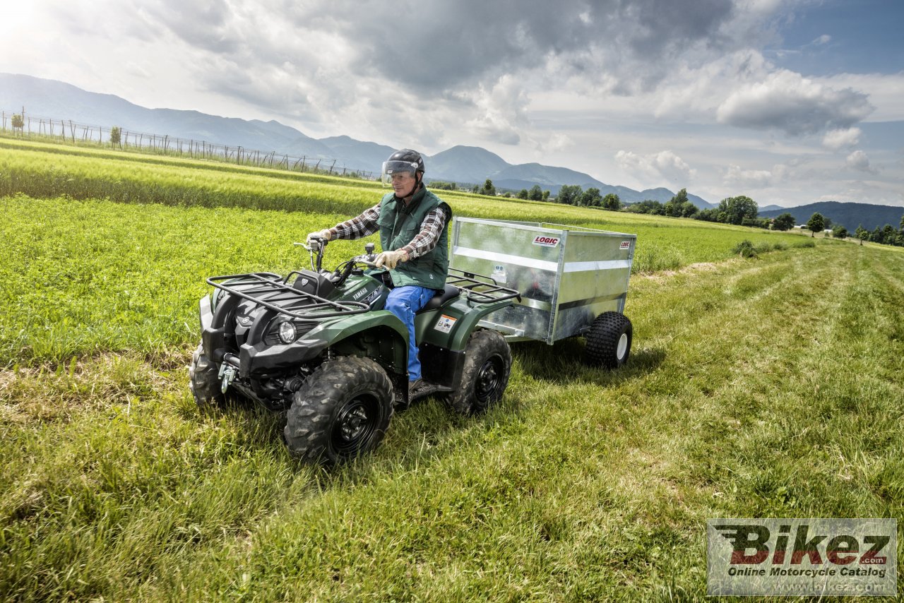 Yamaha Grizzly 450 IRS