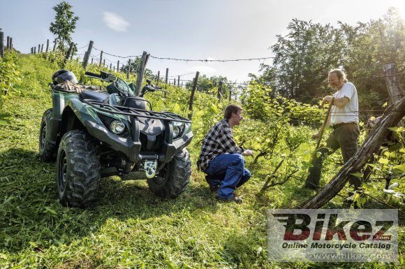 2016 Yamaha Grizzly 450 IRS