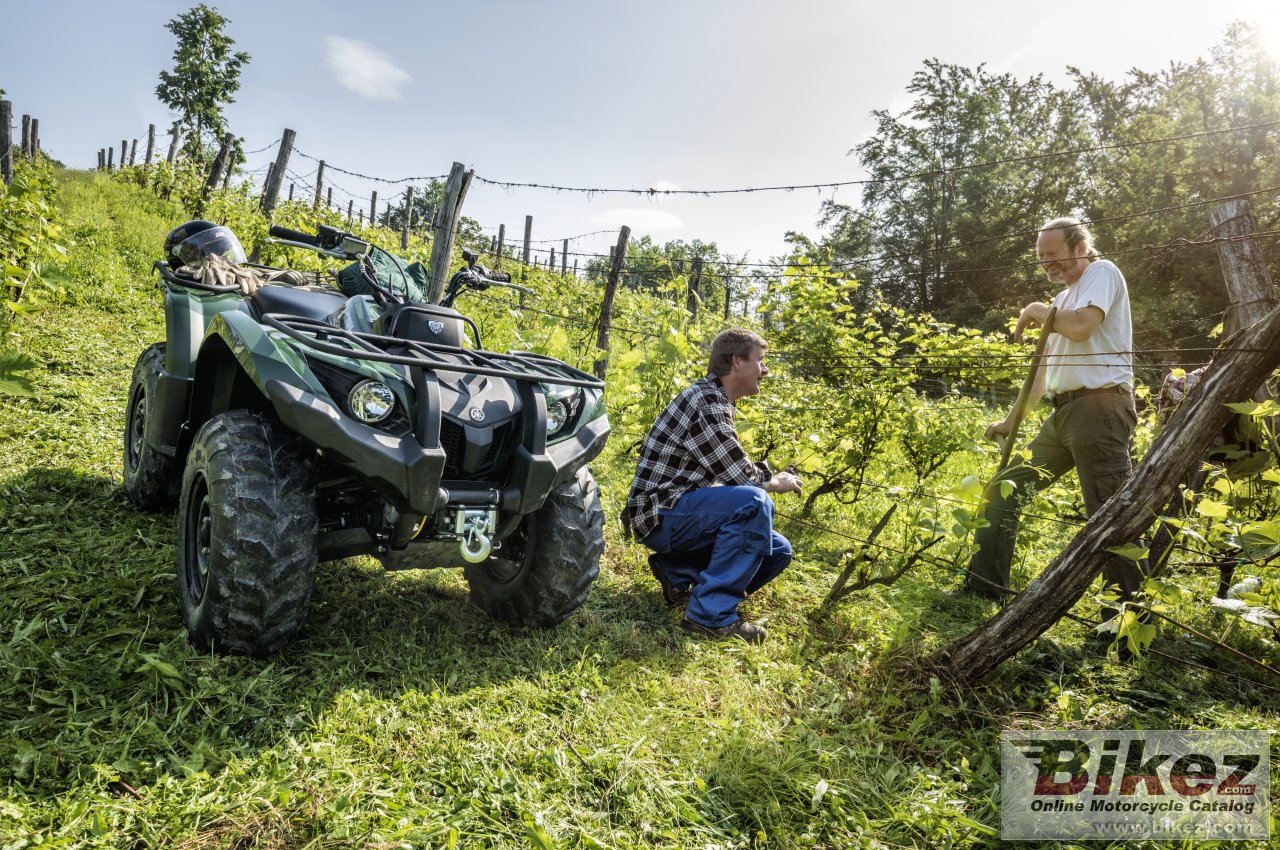 Yamaha Grizzly 450 IRS