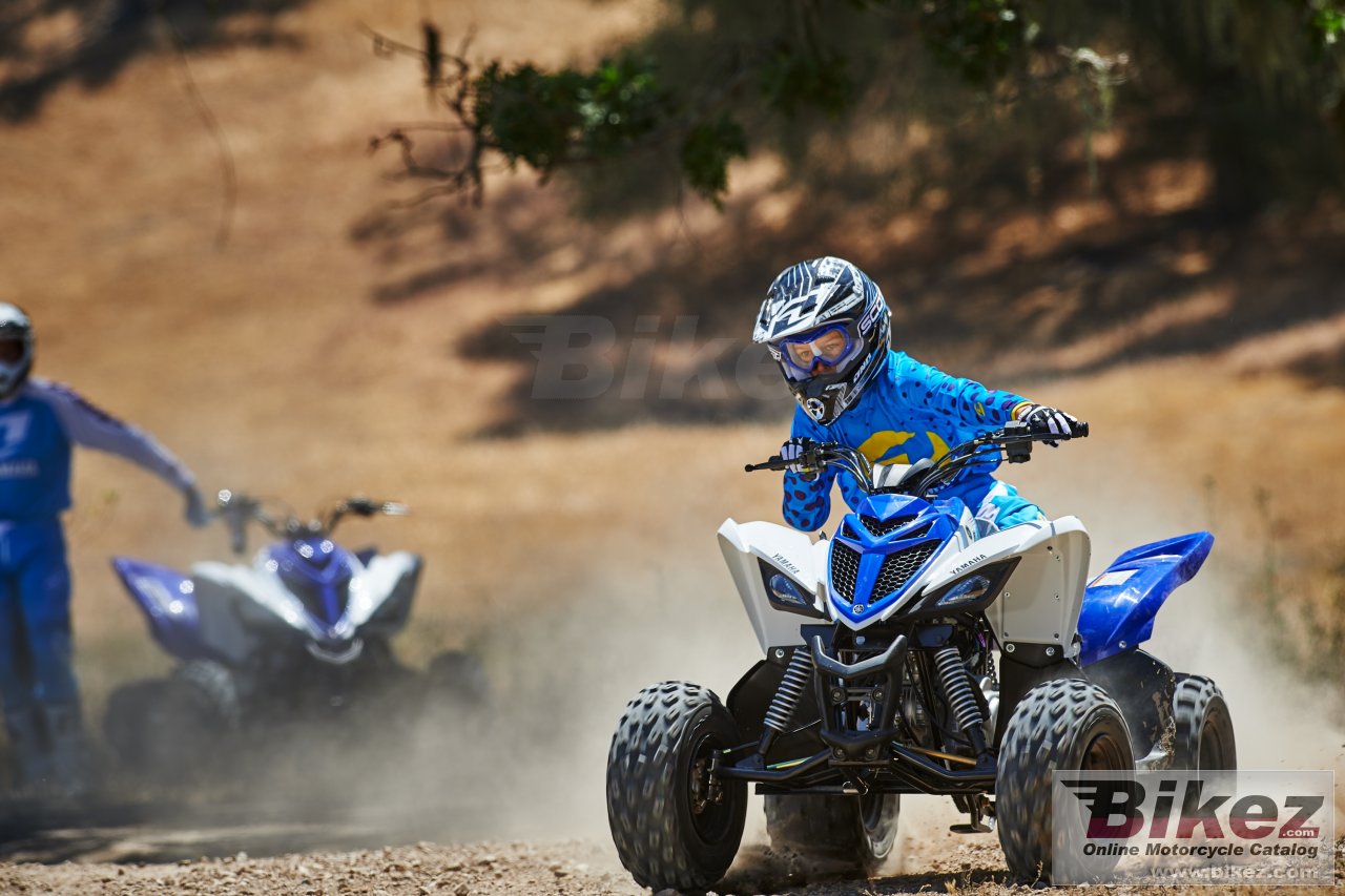 Yamaha Raptor 90