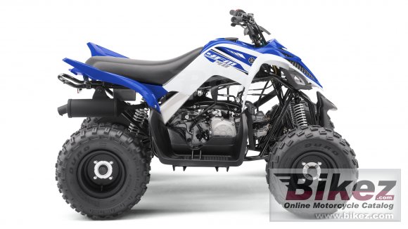 2017 Yamaha YFM90R