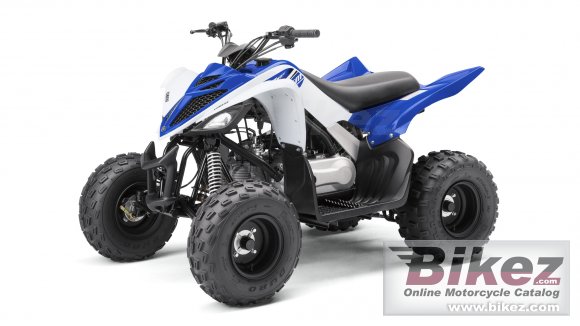 2017 Yamaha YFM90R