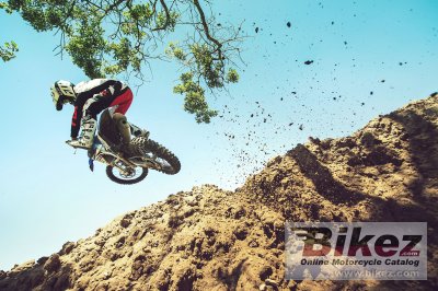 2017 Yamaha YZ250F