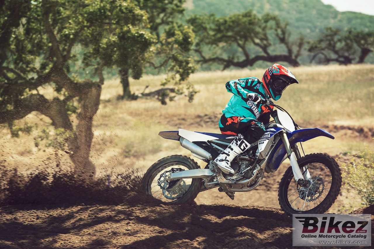 Yamaha YZ250F