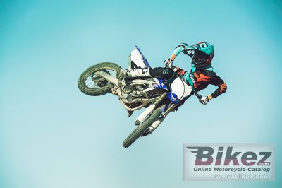2017 Yamaha YZ250F