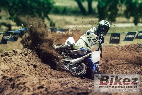 2017 Yamaha YZ250F