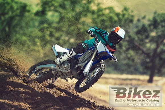 2017 Yamaha YZ250