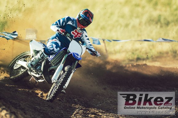 2017 Yamaha YZ250