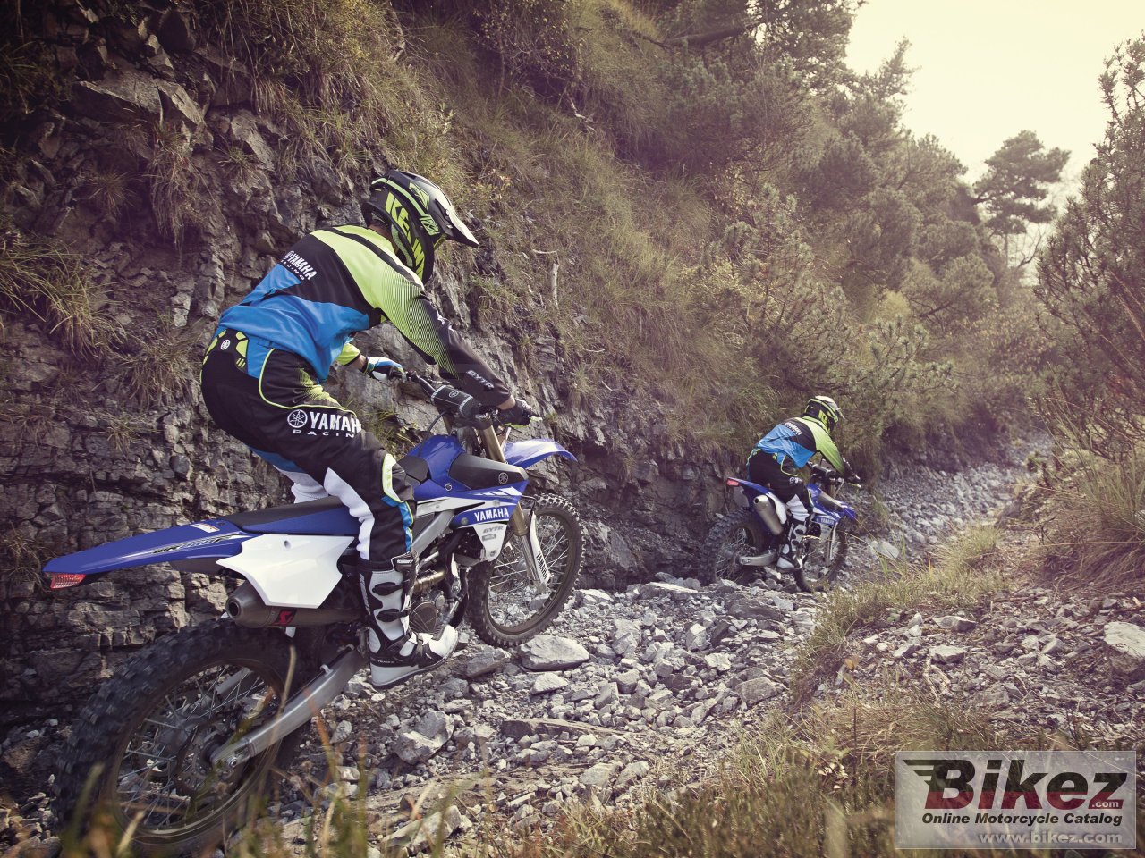 Yamaha WR250F