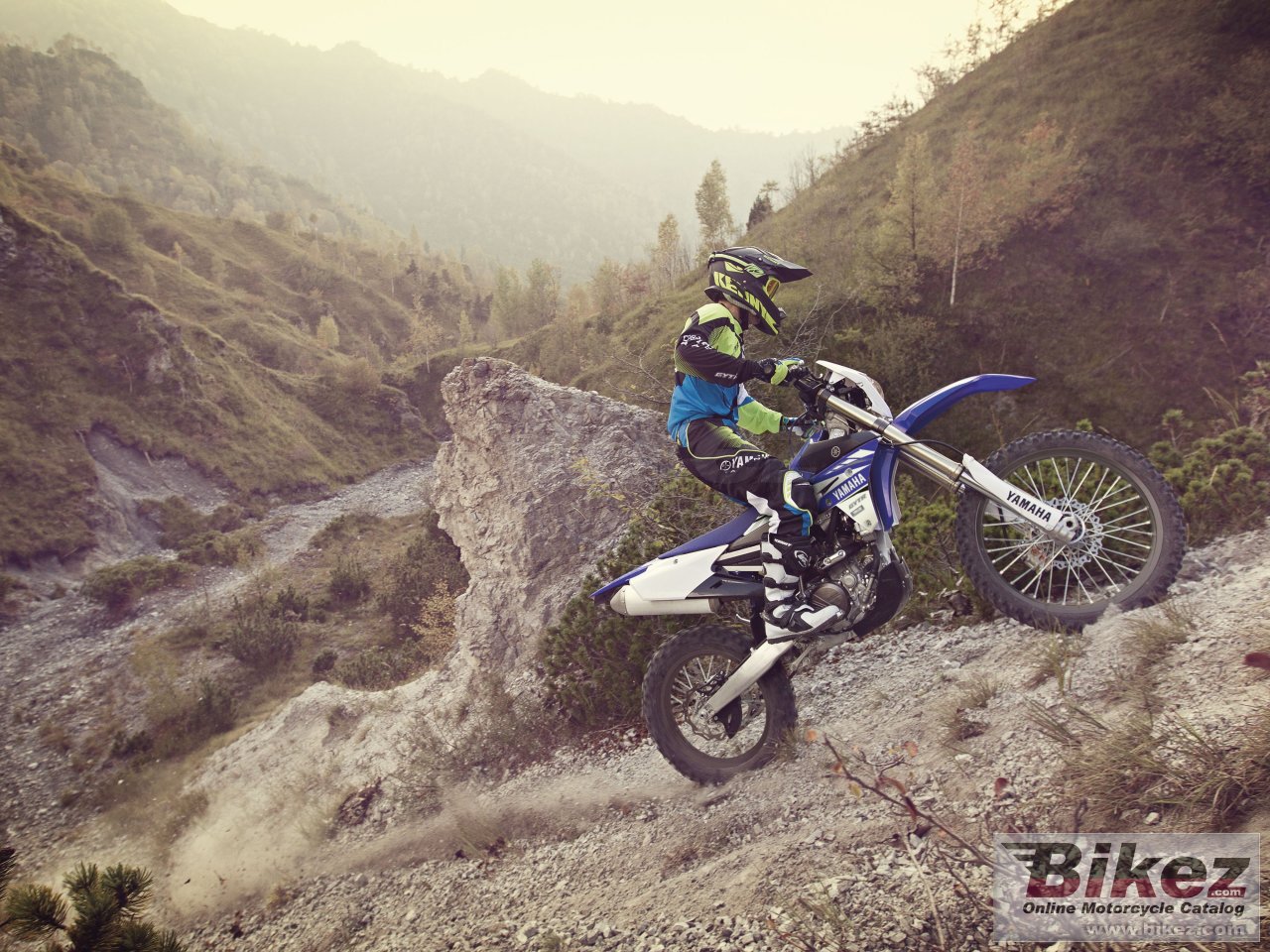 Yamaha WR250F