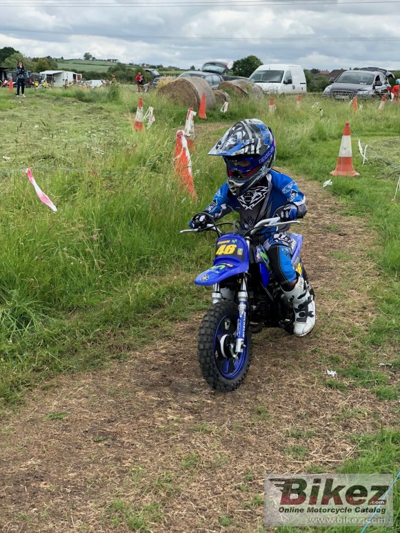 2017 Yamaha PW50