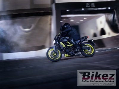 2017 Yamaha MT-07 Moto Cage