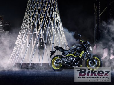 2017 Yamaha MT-07 Moto Cage