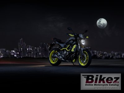 2017 Yamaha MT-07 Moto Cage