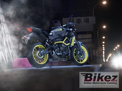 2017 Yamaha MT-07 Moto Cage