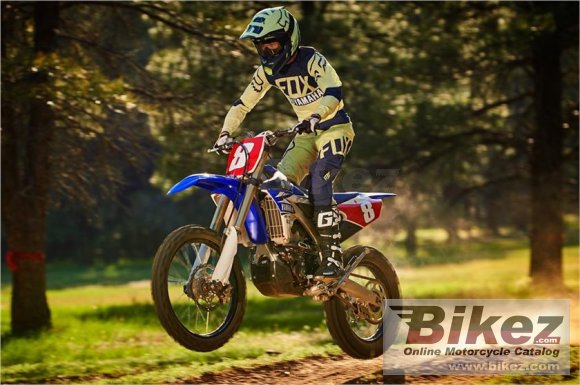 2017 Yamaha YZ250FX