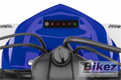 2017 Yamaha Raptor 700R