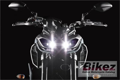 2017 Yamaha FZ-09