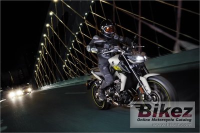 2017 Yamaha FZ-09