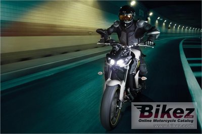 2017 Yamaha FZ-09