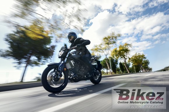 2017 Yamaha MT-25