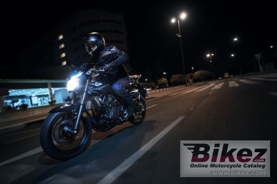 2017 Yamaha MT-25