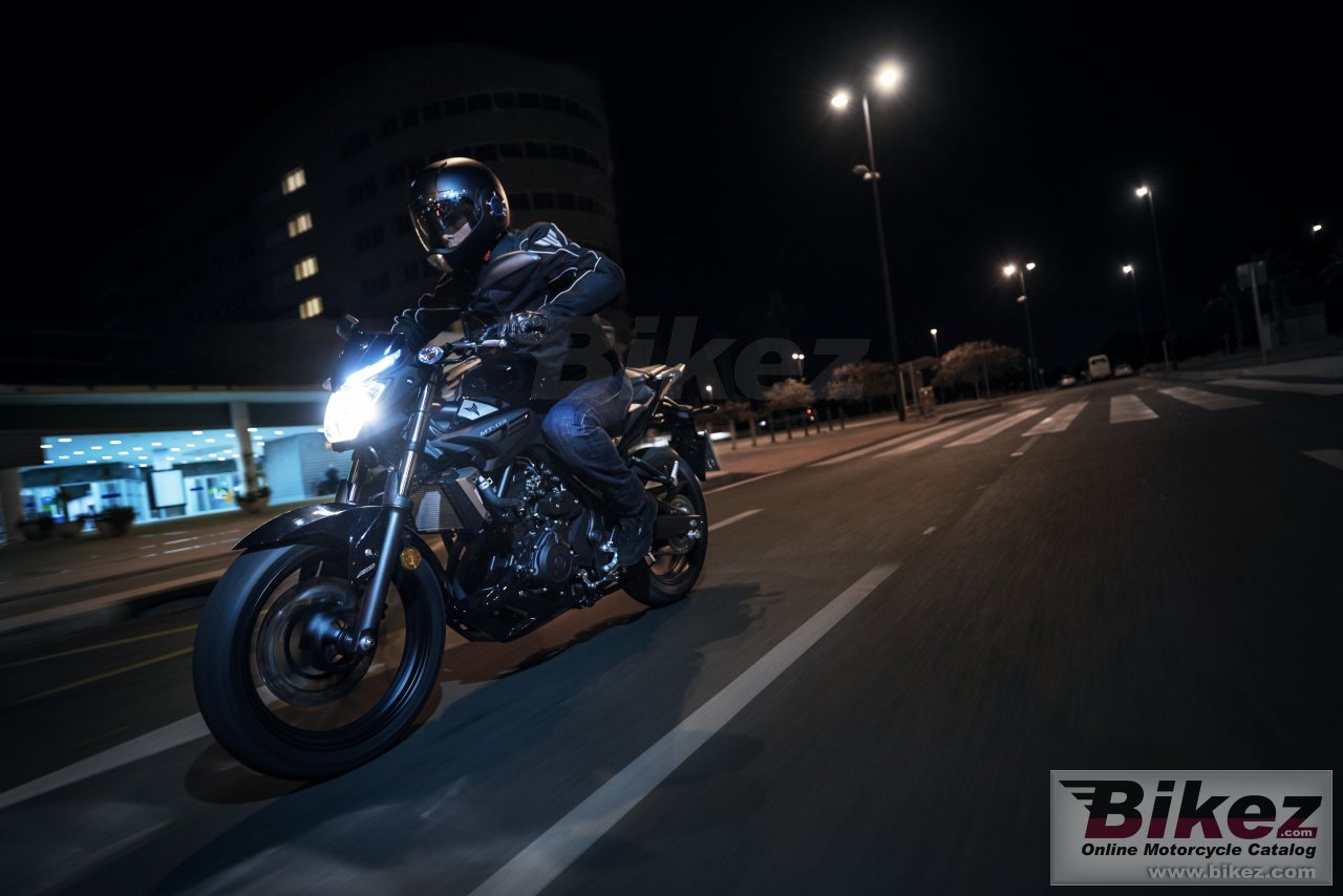 Yamaha MT-25