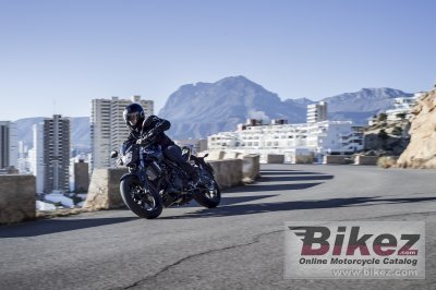 2017 Yamaha MT-25