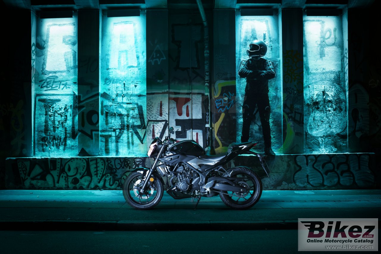 Yamaha MT-25