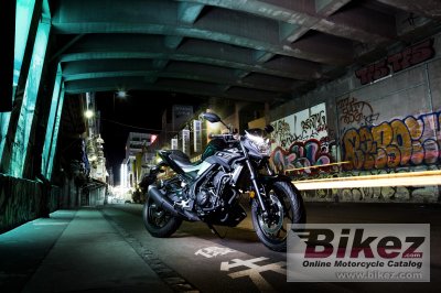 2017 Yamaha MT-25