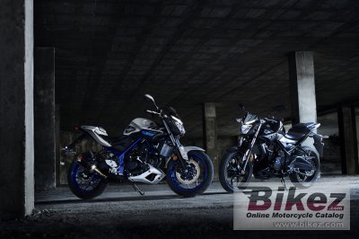 2017 Yamaha MT-25