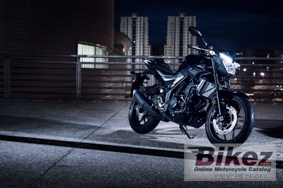 2017 Yamaha MT-25