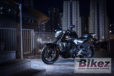 2017 Yamaha MT-25