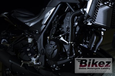 2017 Yamaha MT-25