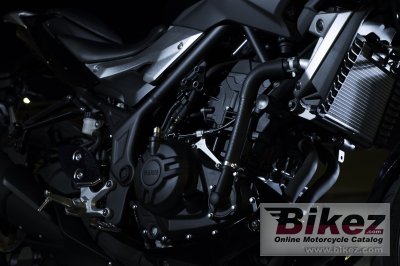 2017 Yamaha MT-25