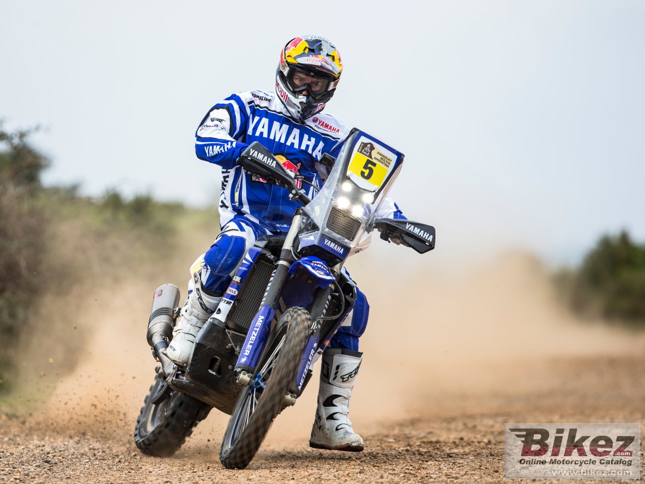 Yamaha WR450F Rally