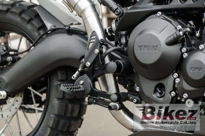 2017 Yamaha XSR900 Yard Built Monkeebeast by Wrenchmonkees