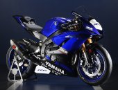 2017 Yamaha YZF-R6 Racing