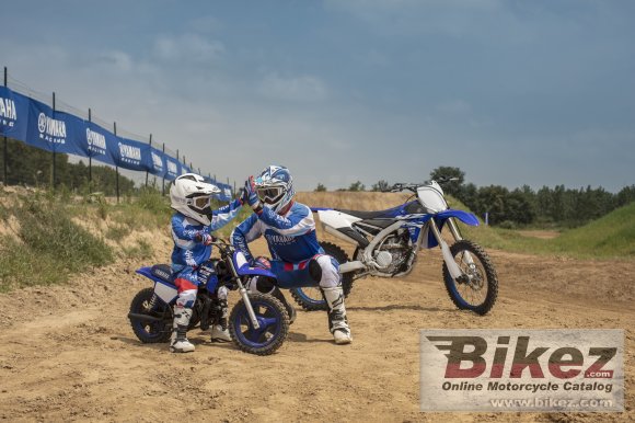 2018 Yamaha PW50