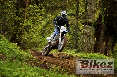 2018 Yamaha WR250F