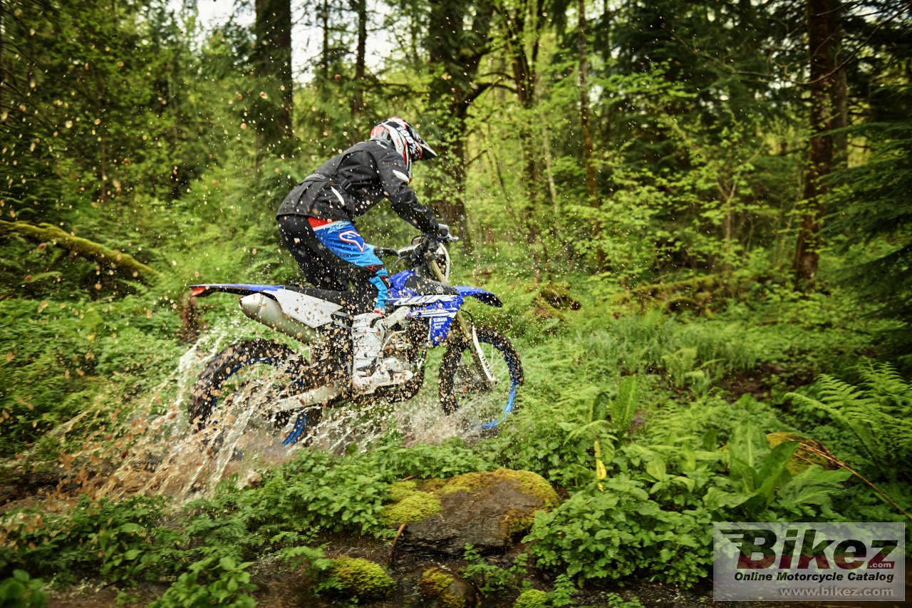 Yamaha WR250F