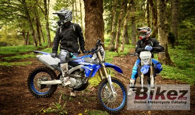 2018 Yamaha WR250F