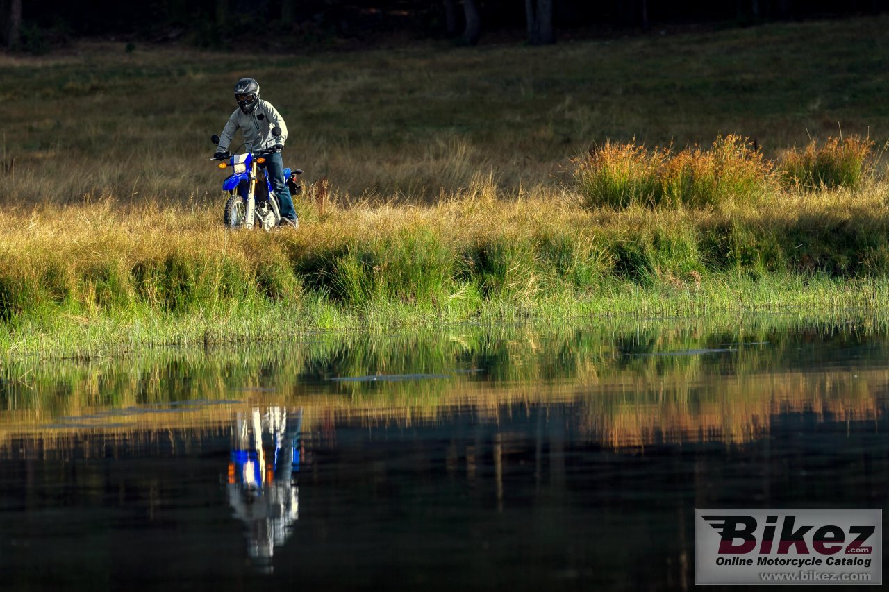 Yamaha WR250R