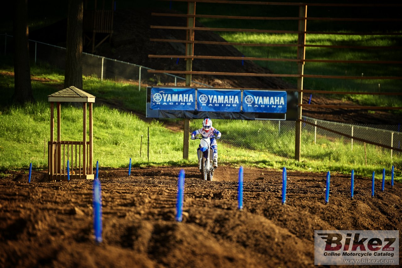 Yamaha YZ450F