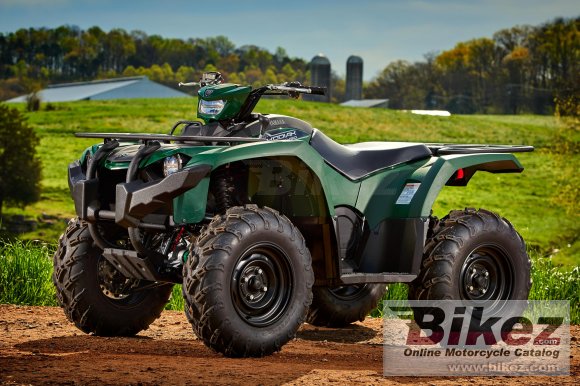 2018 Yamaha Kodiak 450 EPS