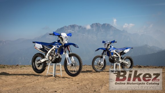 2018 Yamaha WR450F EnduroGP