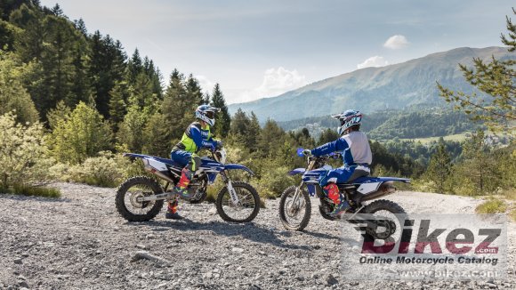 2018 Yamaha WR250F EnduroGP