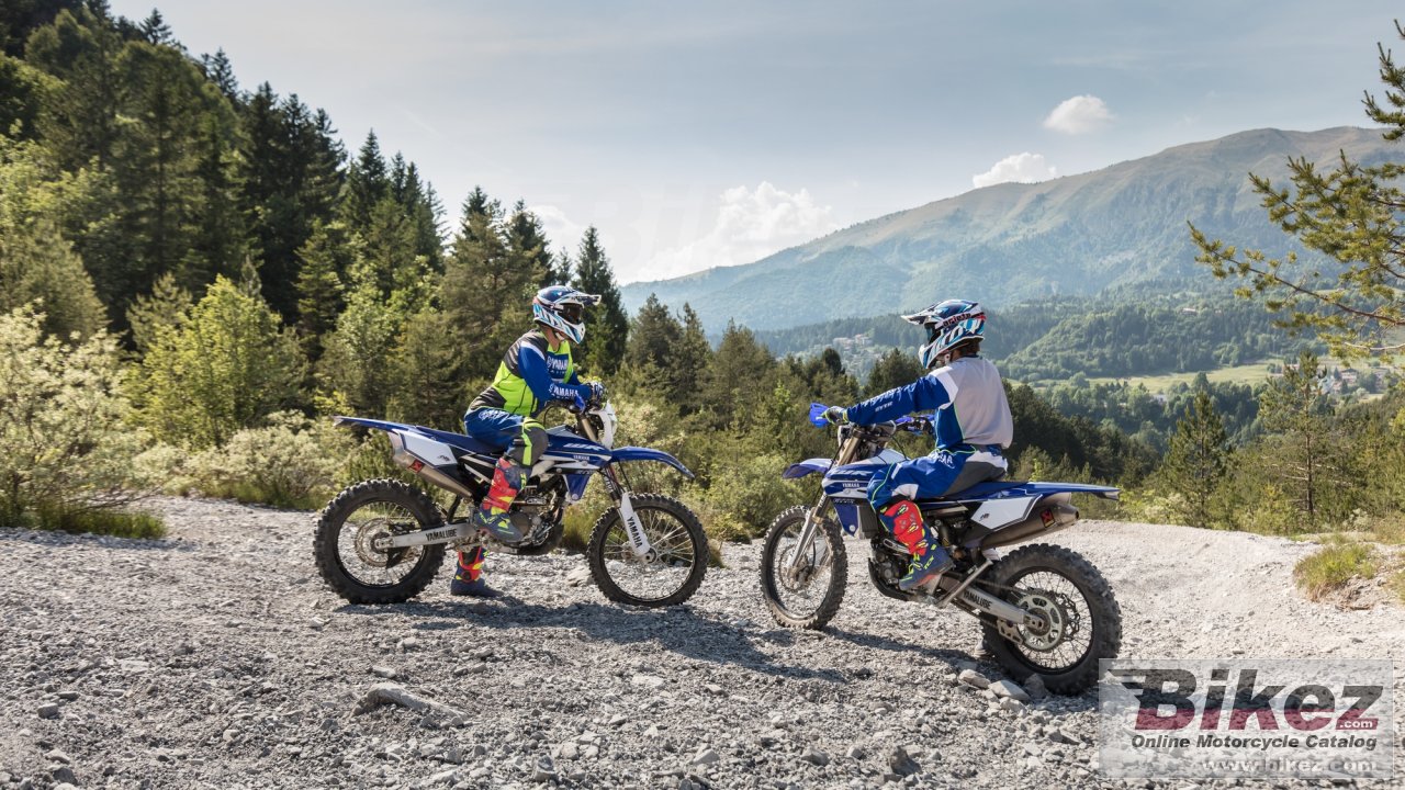 Yamaha WR250F EnduroGP