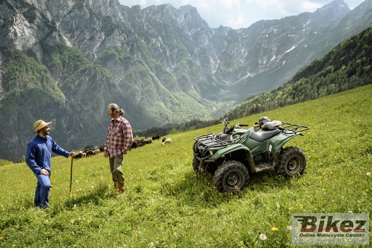 Yamaha Kodiak 700 EPS