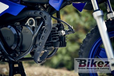 2019 Yamaha PW50